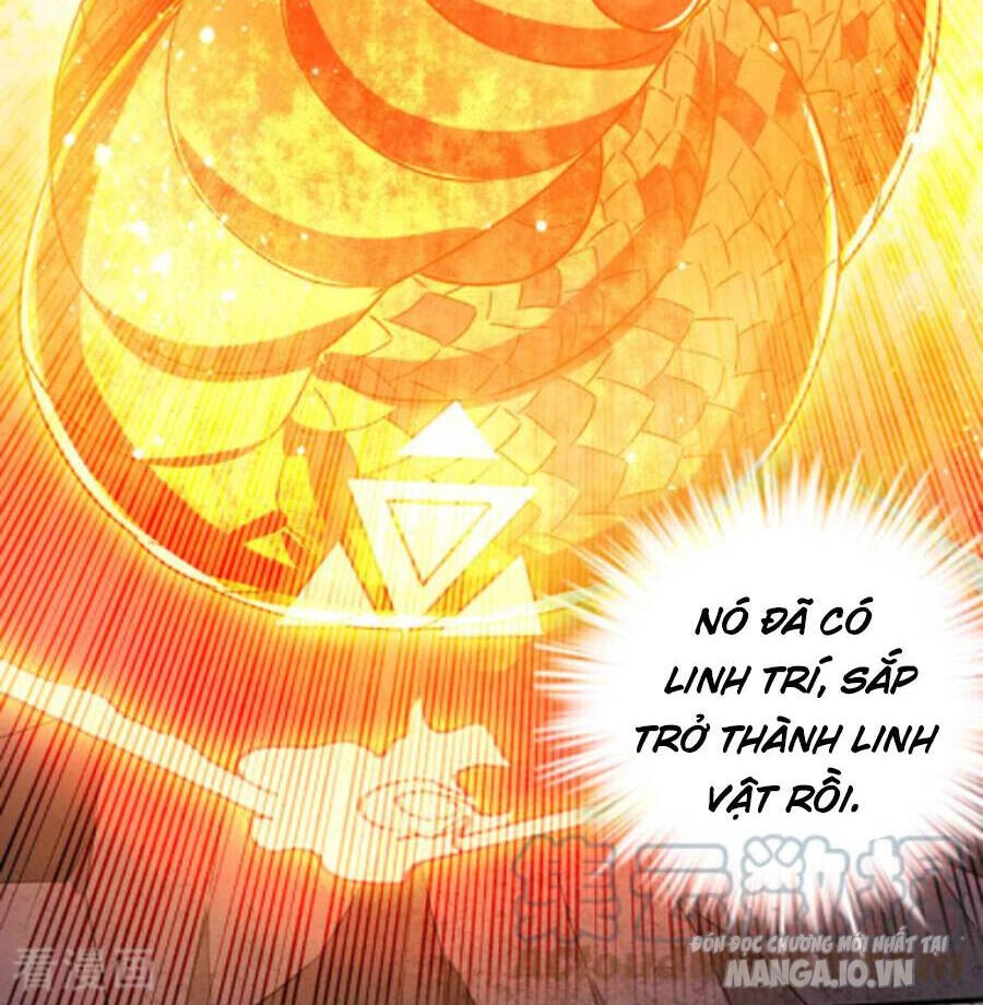 Siêu Cấp Thần Y Tại Đô Thị Chapter 251 - Trang 2