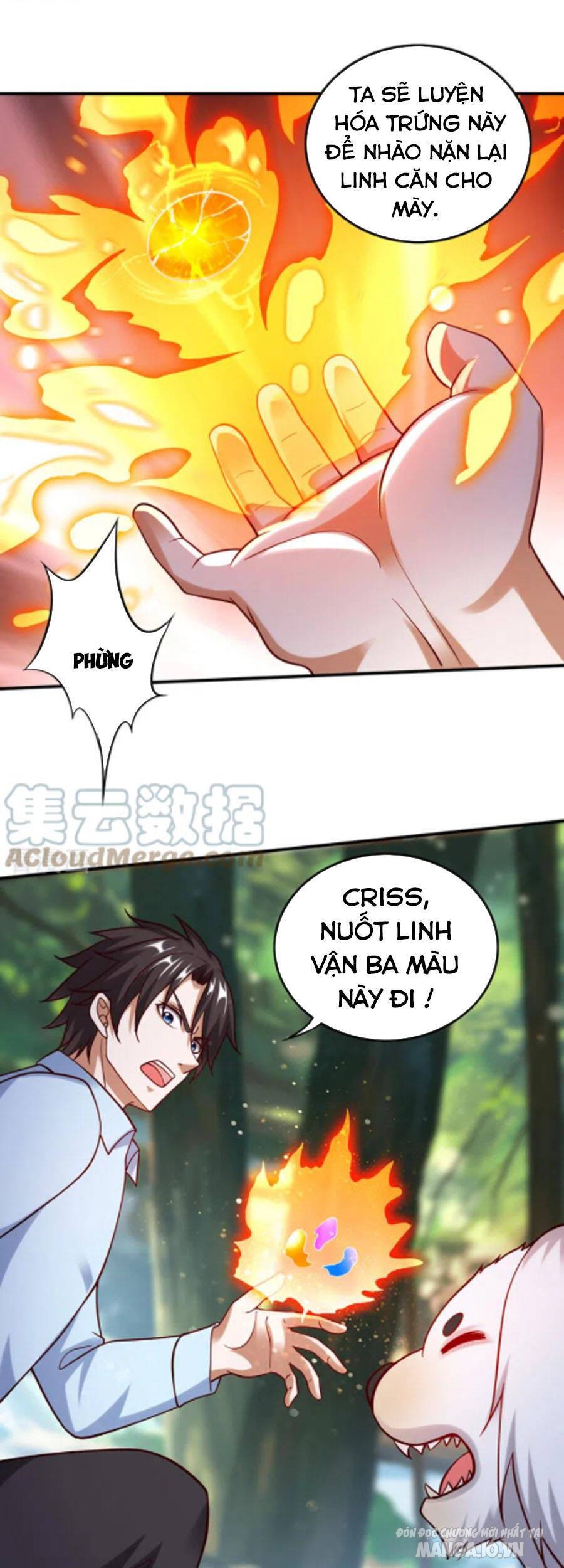 Siêu Cấp Thần Y Tại Đô Thị Chapter 246 - Trang 2