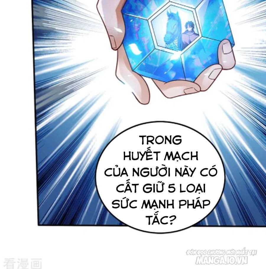 Siêu Cấp Thần Y Tại Đô Thị Chapter 245 - Trang 2