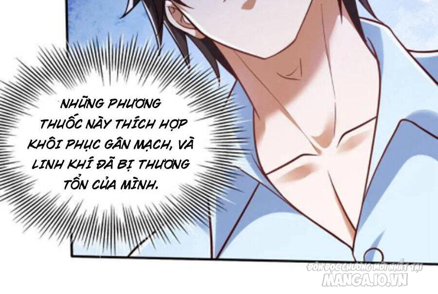 Siêu Cấp Thần Y Tại Đô Thị Chapter 243 - Trang 2