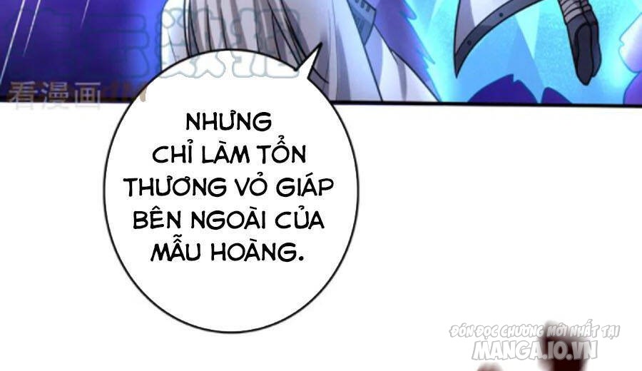 Siêu Cấp Thần Y Tại Đô Thị Chapter 235 - Trang 2