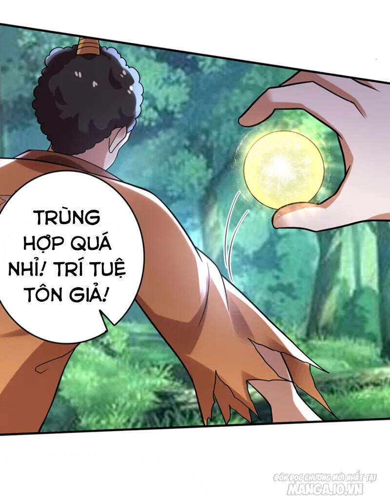 Siêu Cấp Thần Y Tại Đô Thị Chapter 230 - Trang 2