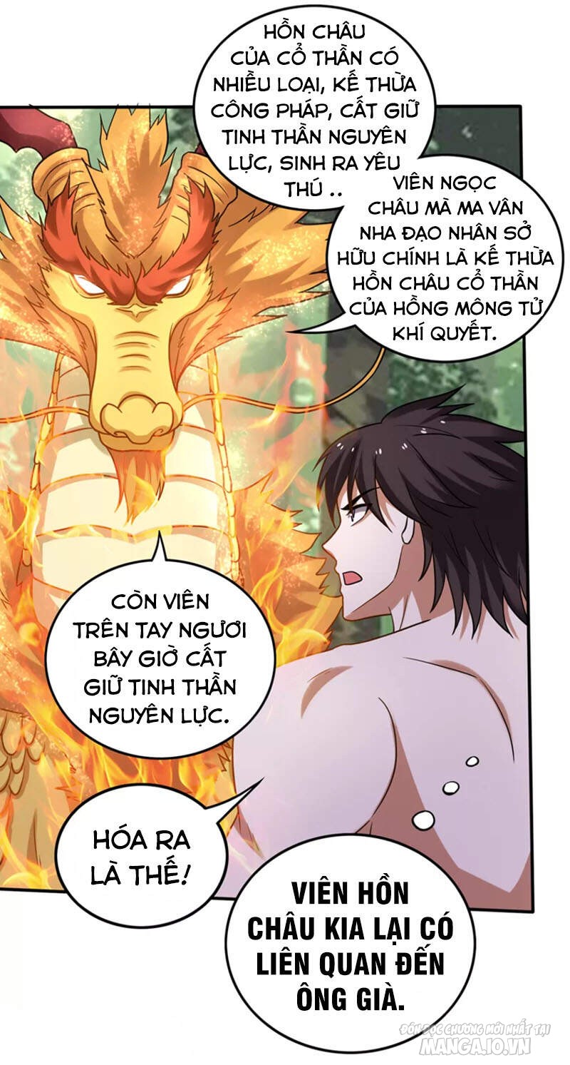 Siêu Cấp Thần Y Tại Đô Thị Chapter 230 - Trang 2