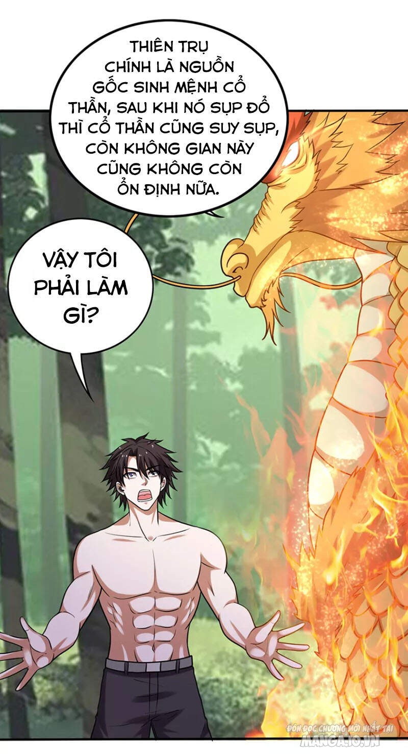 Siêu Cấp Thần Y Tại Đô Thị Chapter 230 - Trang 2