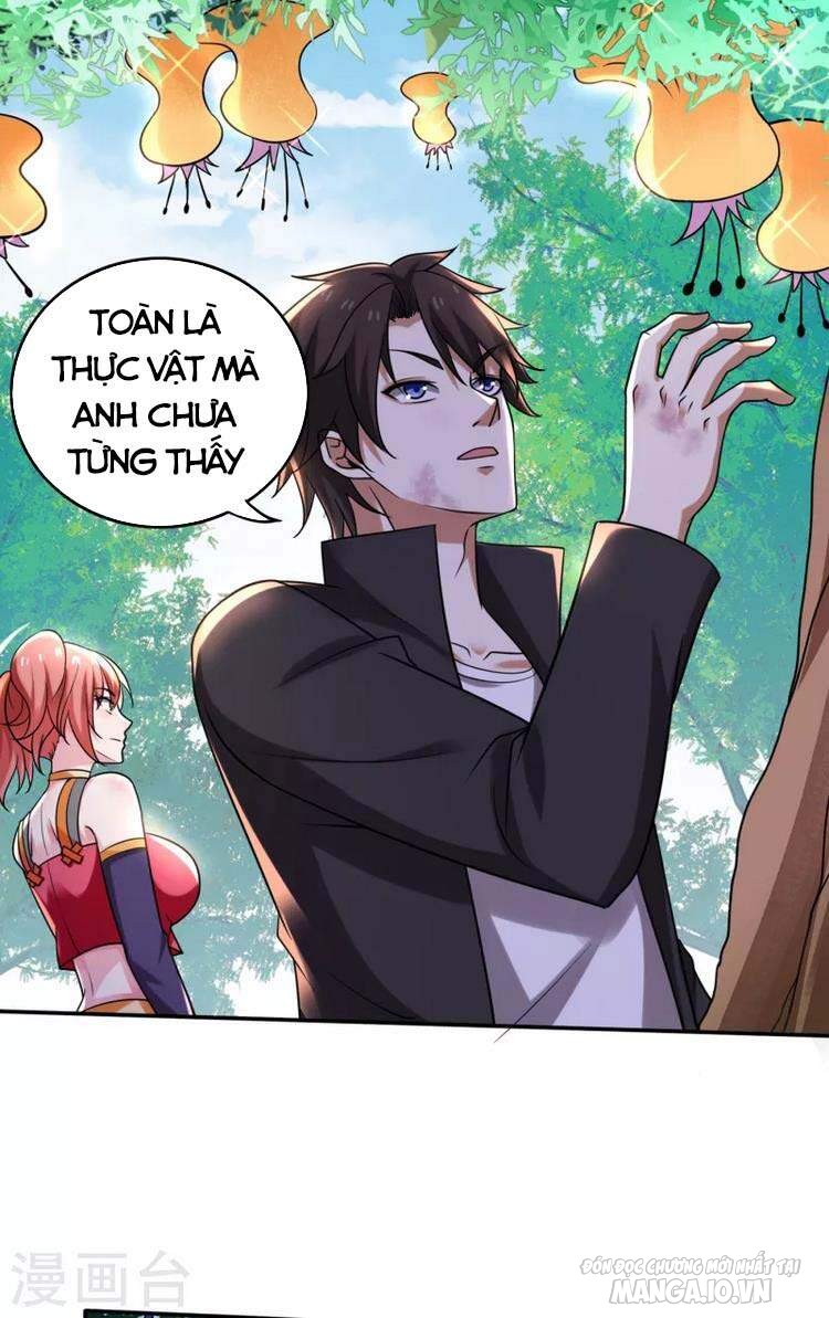 Siêu Cấp Thần Y Tại Đô Thị Chapter 207 - Trang 2