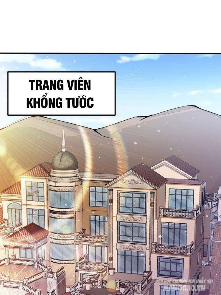 Siêu Cấp Thần Y Tại Đô Thị Chapter 181 - Trang 2