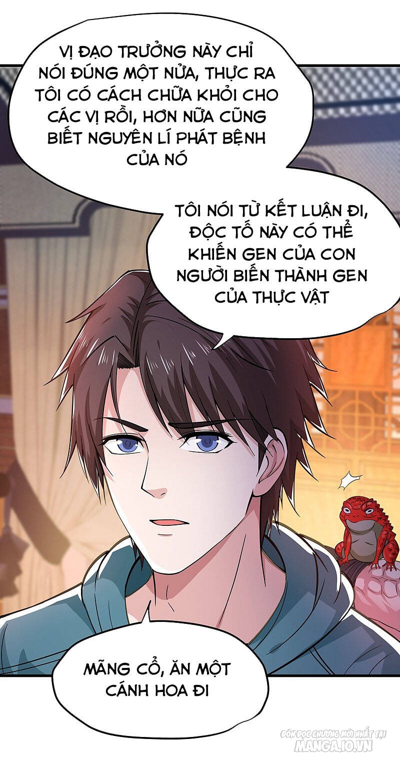 Siêu Cấp Thần Y Tại Đô Thị Chapter 157 - Trang 2