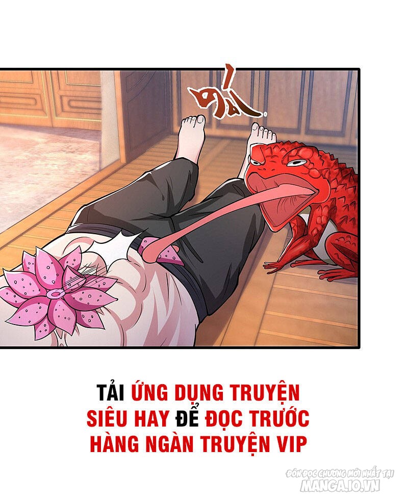 Siêu Cấp Thần Y Tại Đô Thị Chapter 157 - Trang 2