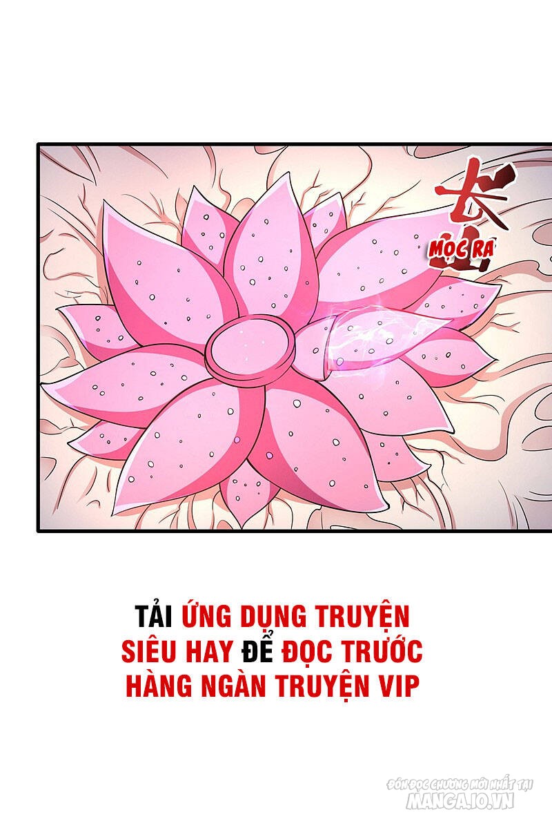 Siêu Cấp Thần Y Tại Đô Thị Chapter 157 - Trang 2