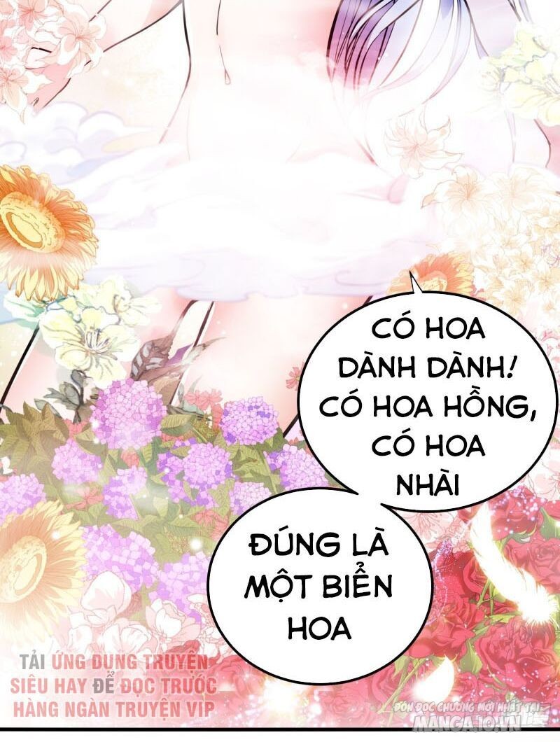 Siêu Cấp Thần Y Tại Đô Thị Chapter 133 - Trang 2