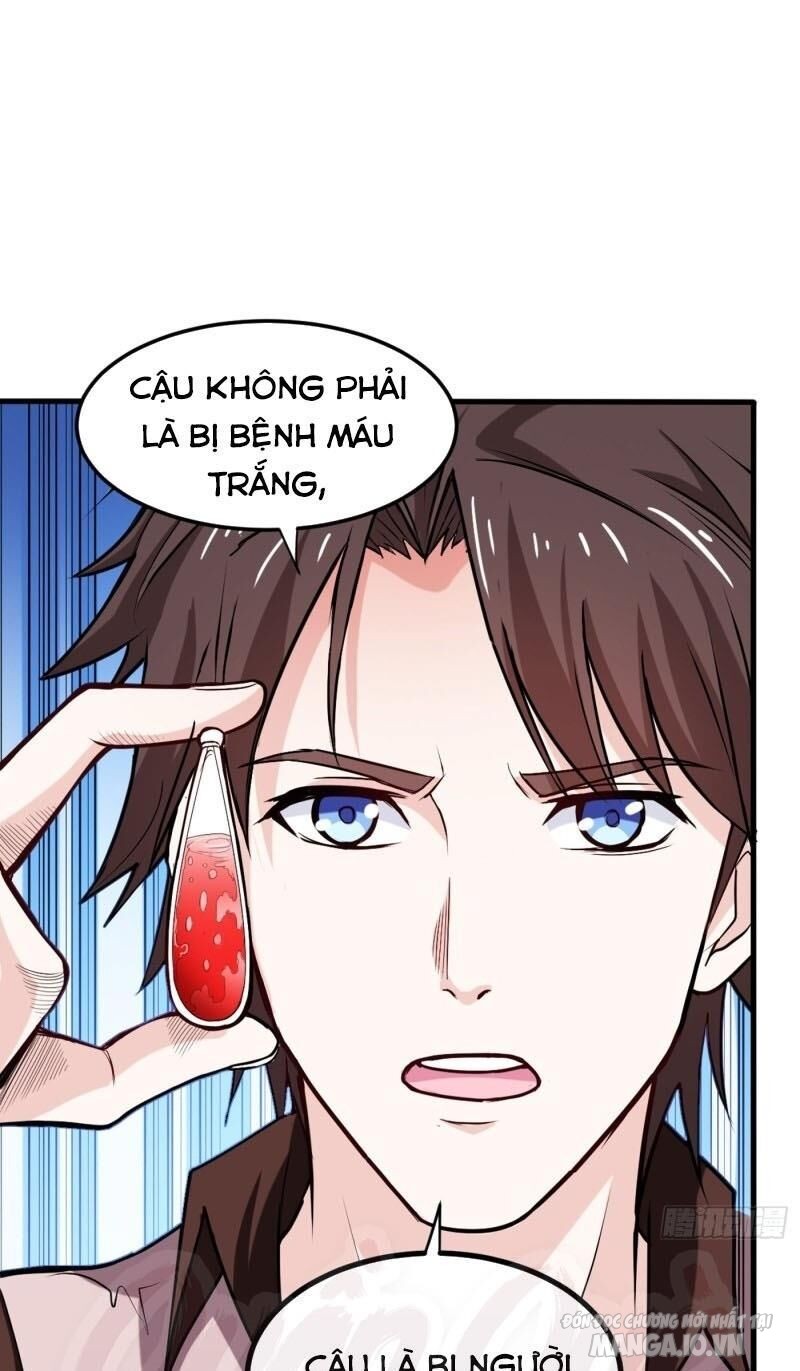 Siêu Cấp Thần Y Tại Đô Thị Chapter 105 - Trang 2