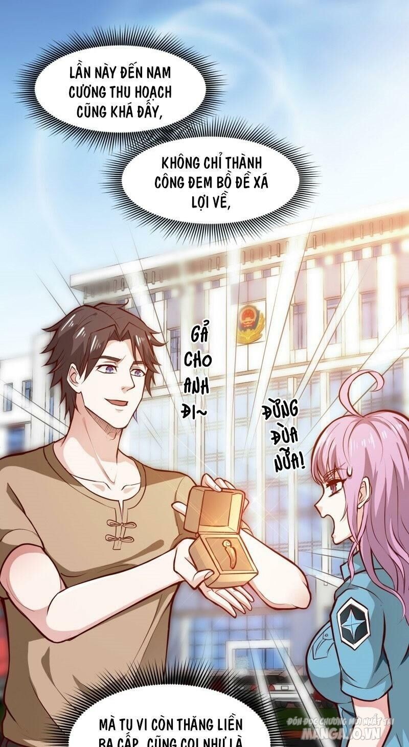 Siêu Cấp Thần Y Tại Đô Thị Chapter 80 - Trang 2