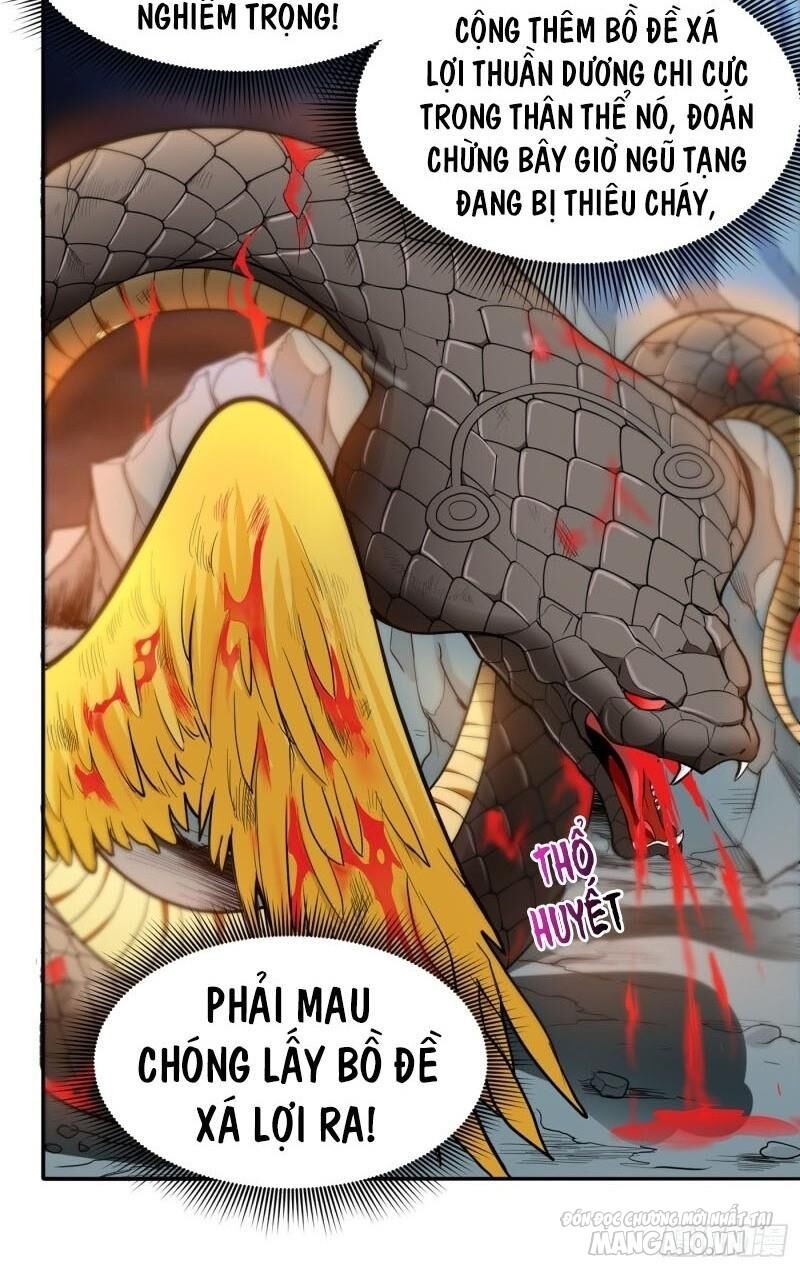 Siêu Cấp Thần Y Tại Đô Thị Chapter 72 - Trang 2