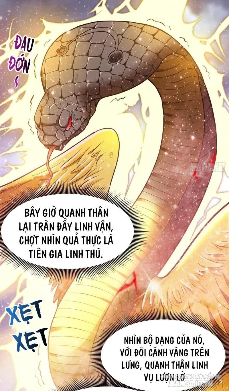 Siêu Cấp Thần Y Tại Đô Thị Chapter 72 - Trang 2