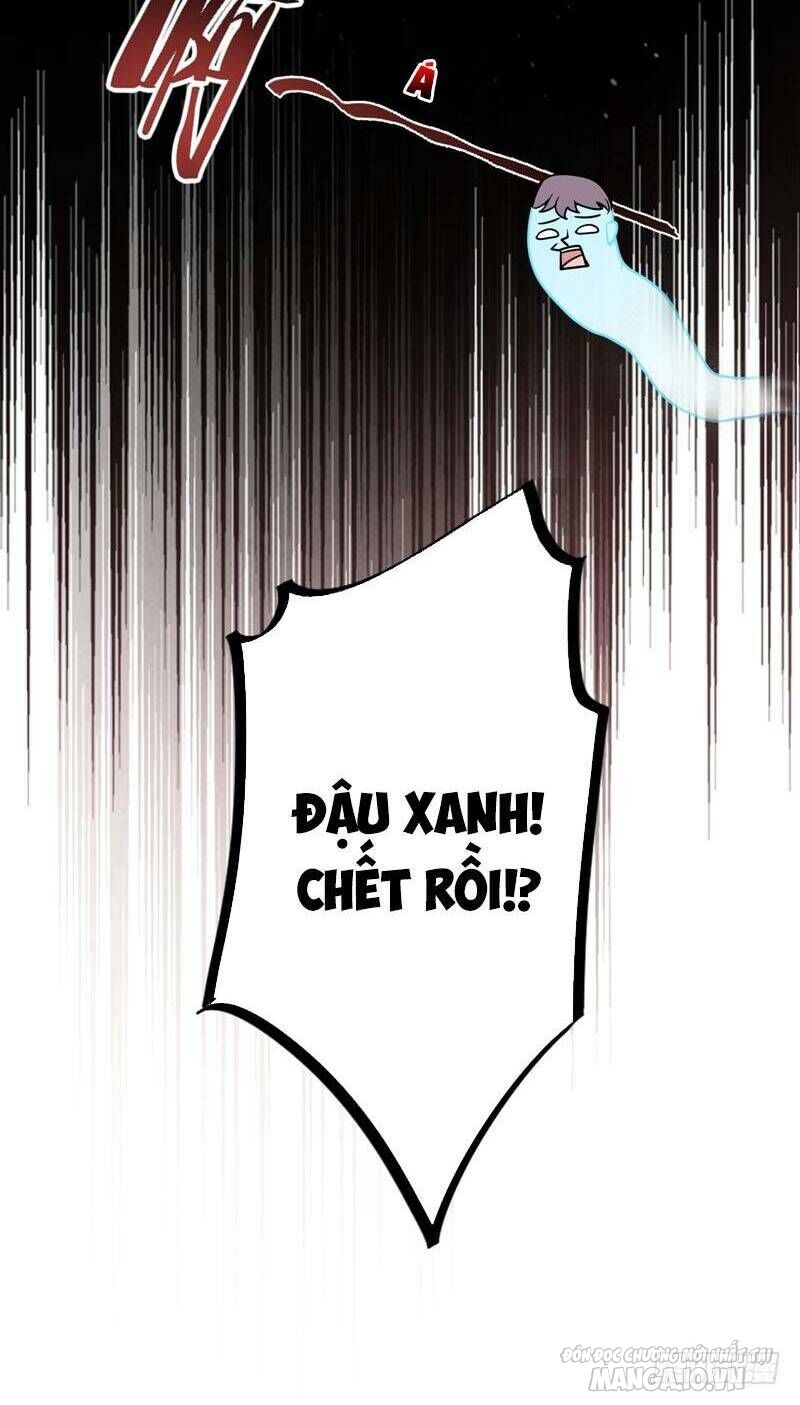 Siêu Cấp Thần Y Tại Đô Thị Chapter 19 - Trang 2