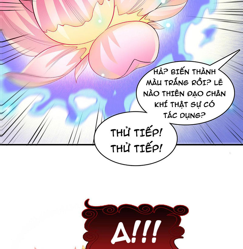 Thiên Đạo Đồ Thư Quán Chapter 291 - Trang 2