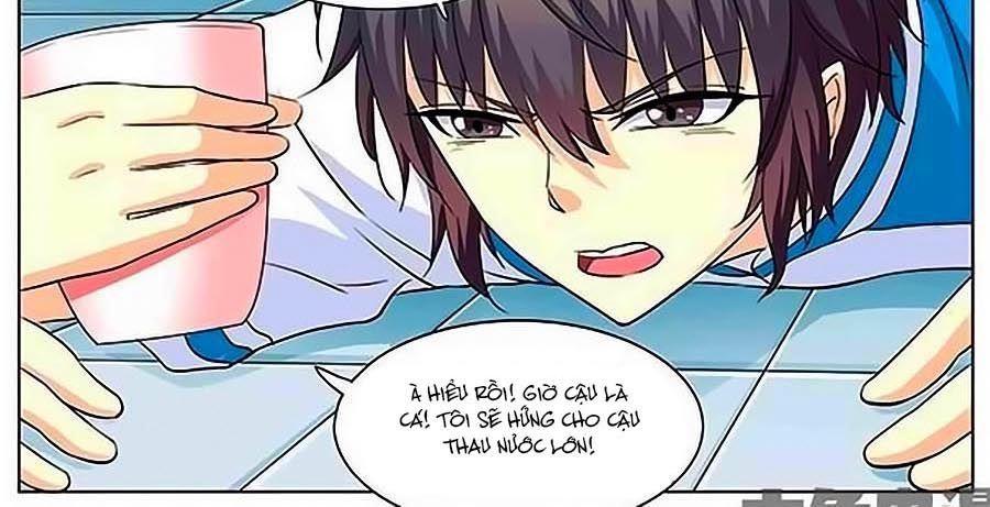 Nam Thần Của Tôi Chapter 11 - Trang 2