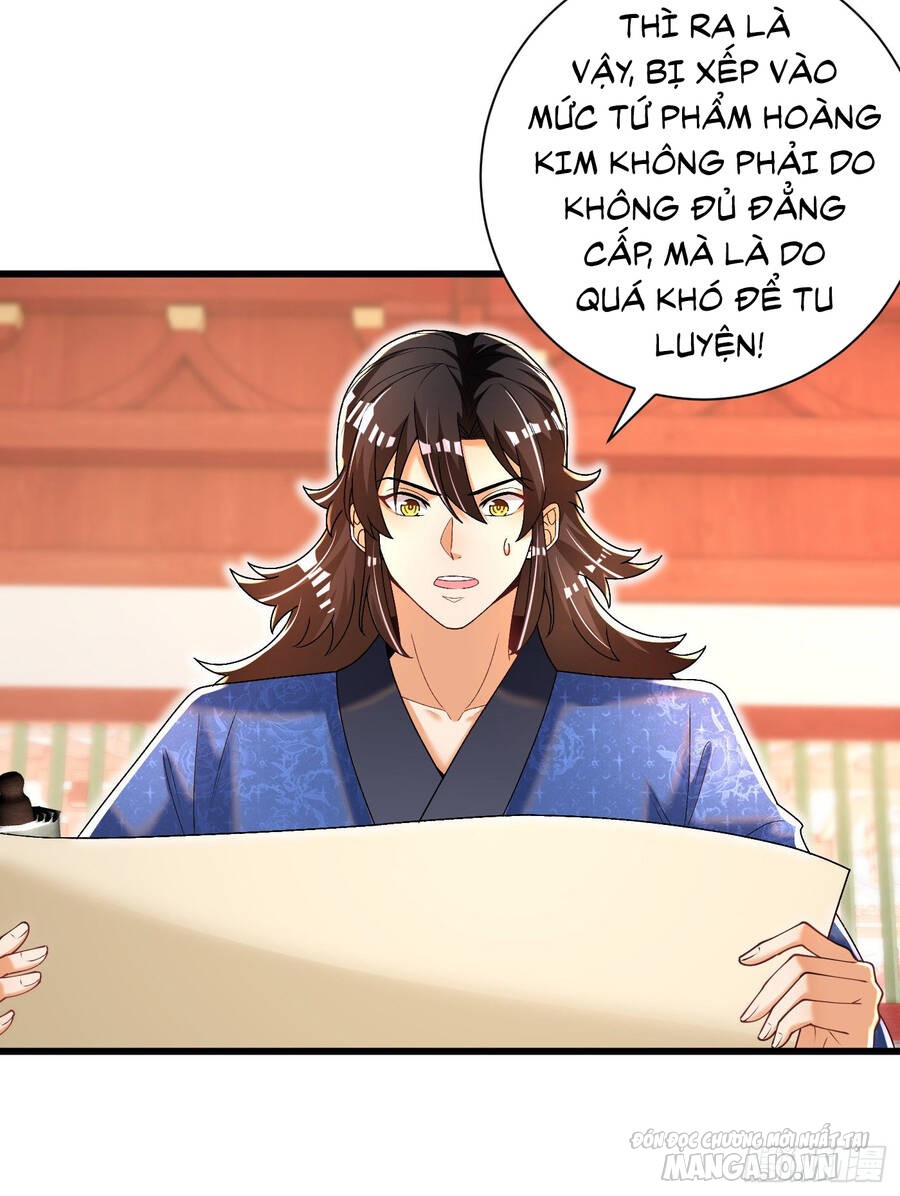 Kẻ Bị Vứt Bỏ Cường Đại Nhất Chapter 14 - Trang 2