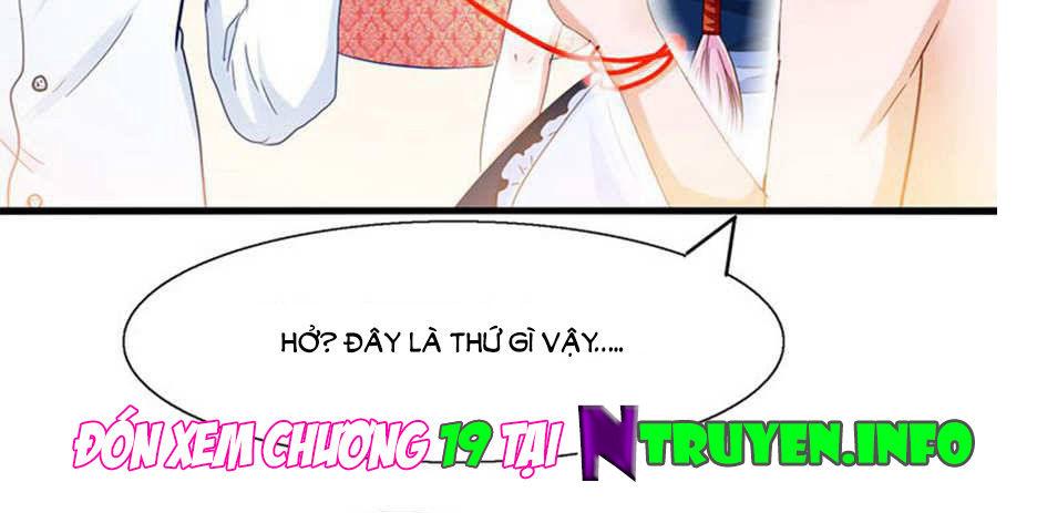 Tôi Bị Gấu Trúc Nhìn Trúng Rồi Chapter 18 - Trang 2