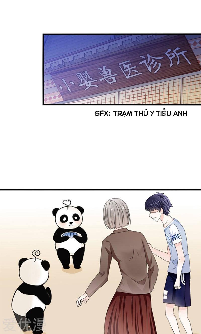 Tôi Bị Gấu Trúc Nhìn Trúng Rồi Chapter 17 - Trang 2