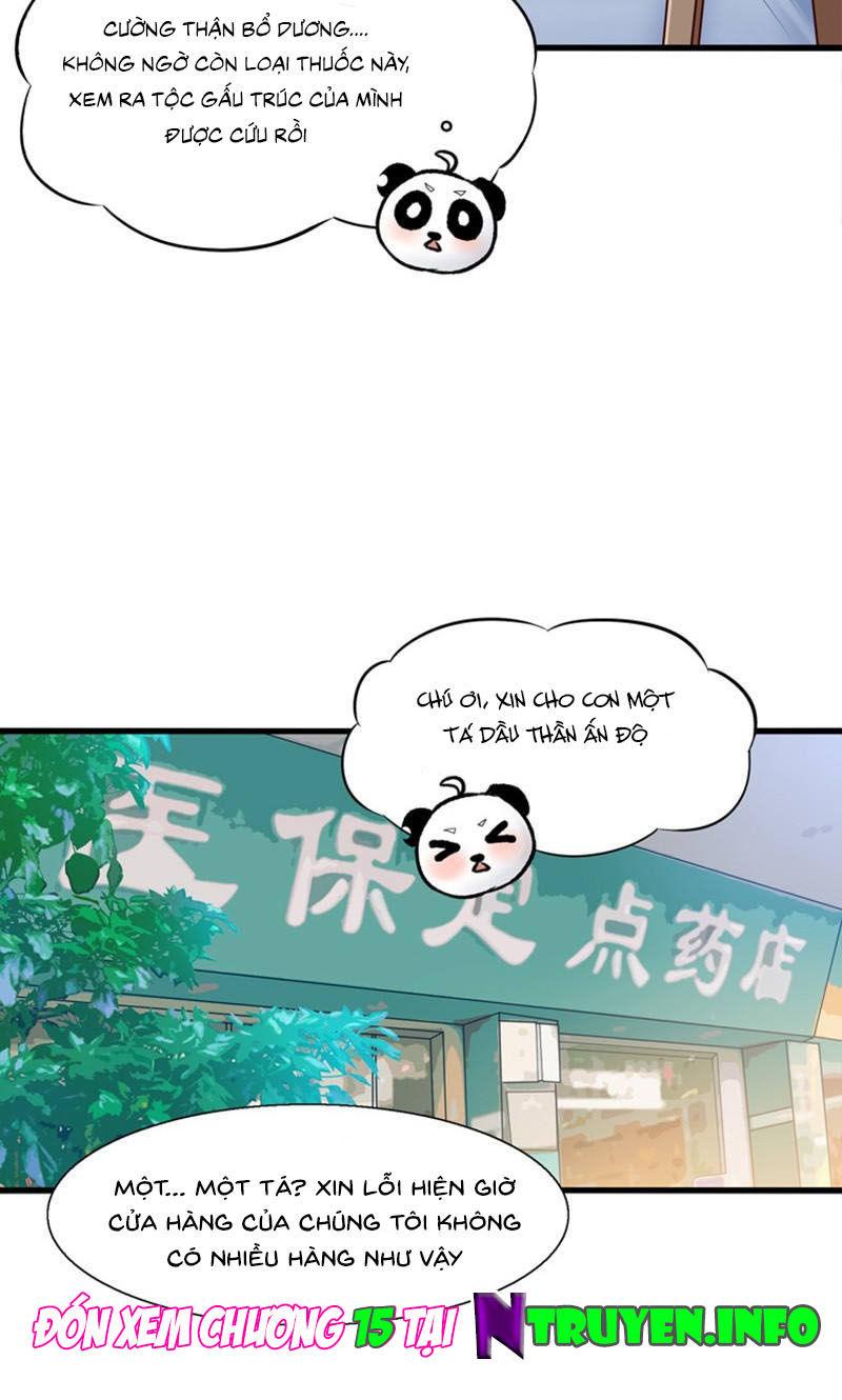 Tôi Bị Gấu Trúc Nhìn Trúng Rồi Chapter 14 - Trang 2