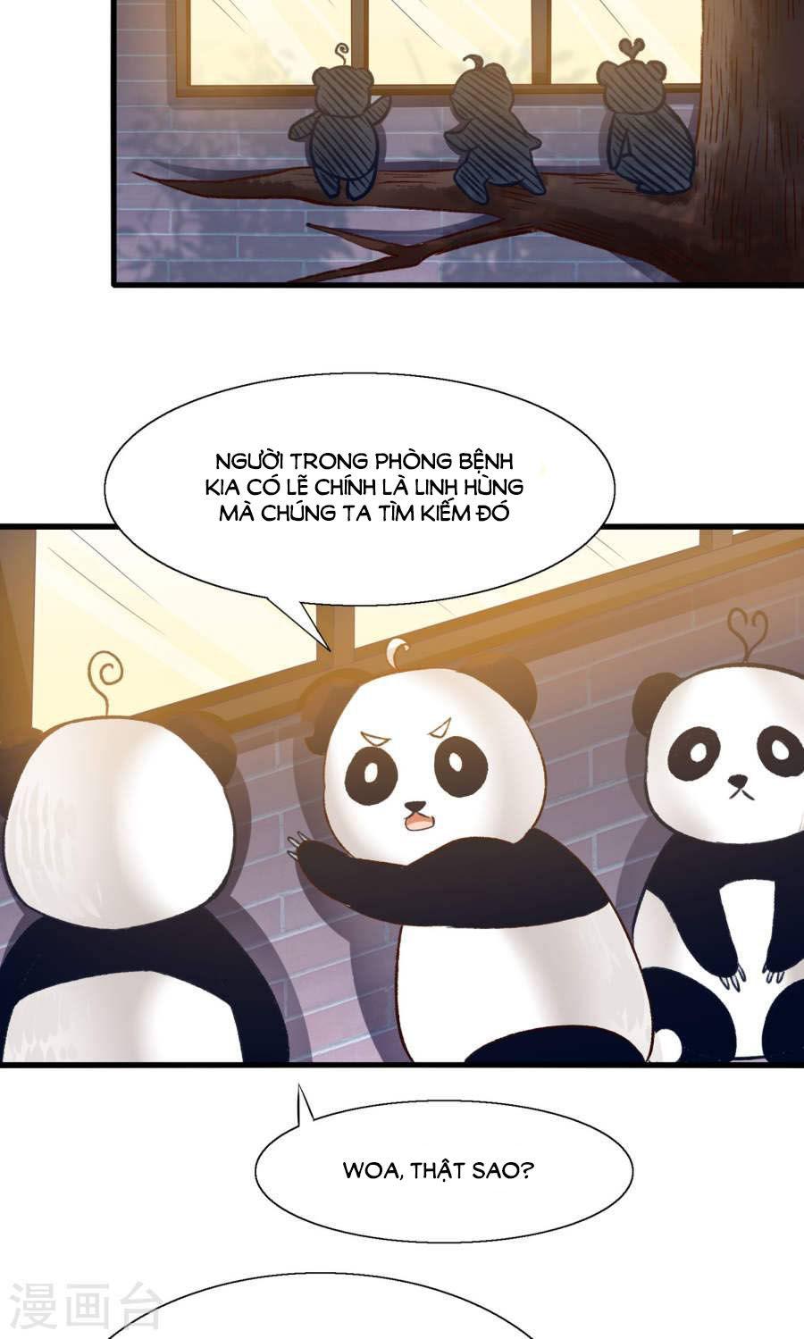 Tôi Bị Gấu Trúc Nhìn Trúng Rồi Chapter 13 - Trang 2