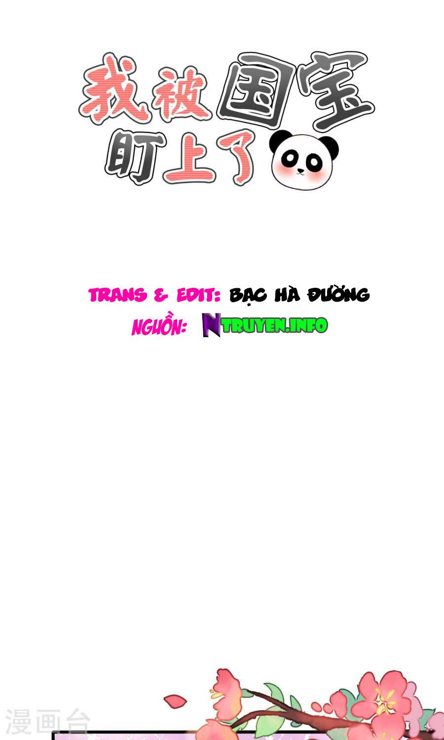 Tôi Bị Gấu Trúc Nhìn Trúng Rồi Chapter 12 - Trang 2