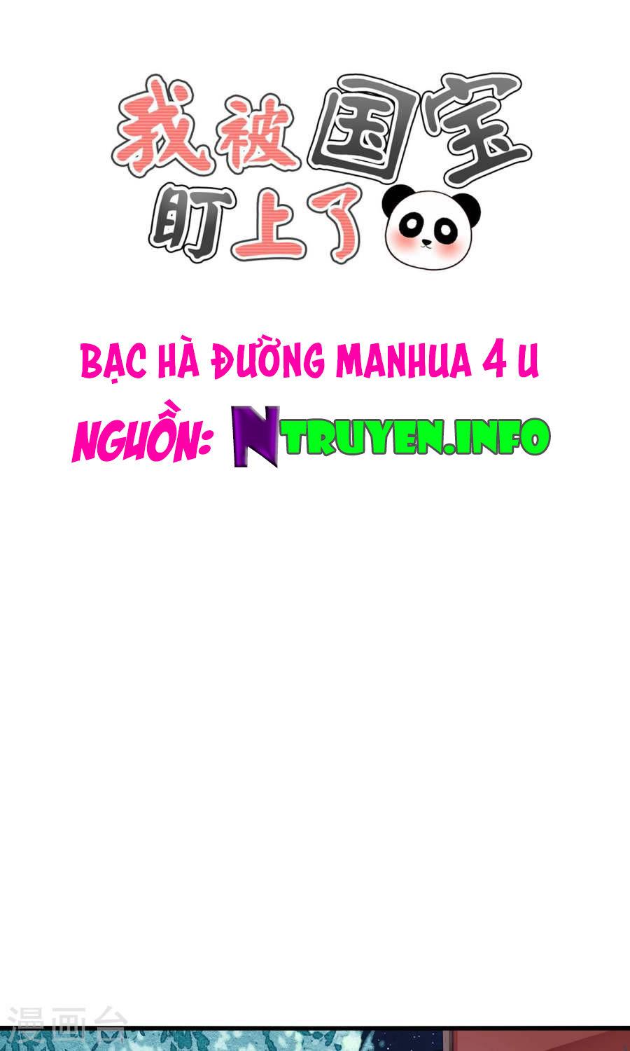 Tôi Bị Gấu Trúc Nhìn Trúng Rồi Chapter 11 - Trang 2