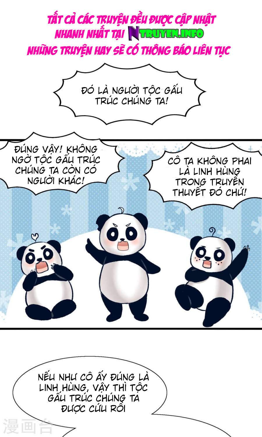 Tôi Bị Gấu Trúc Nhìn Trúng Rồi Chapter 10 - Trang 2