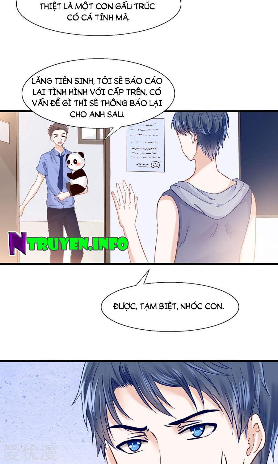 Tôi Bị Gấu Trúc Nhìn Trúng Rồi Chapter 4 - Trang 2