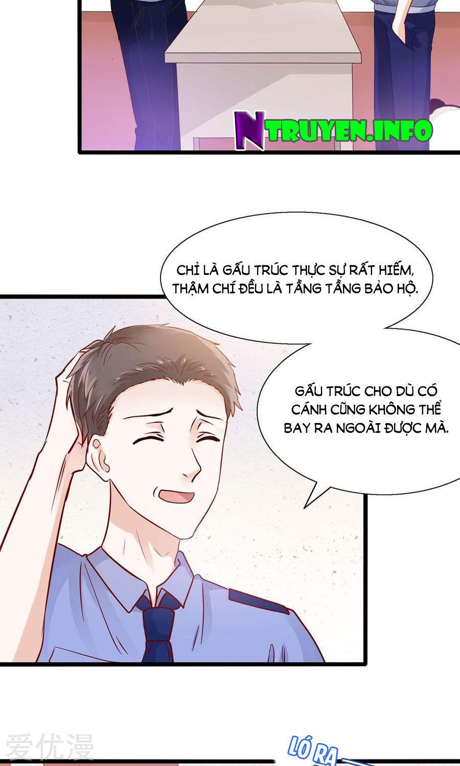 Tôi Bị Gấu Trúc Nhìn Trúng Rồi Chapter 4 - Trang 2