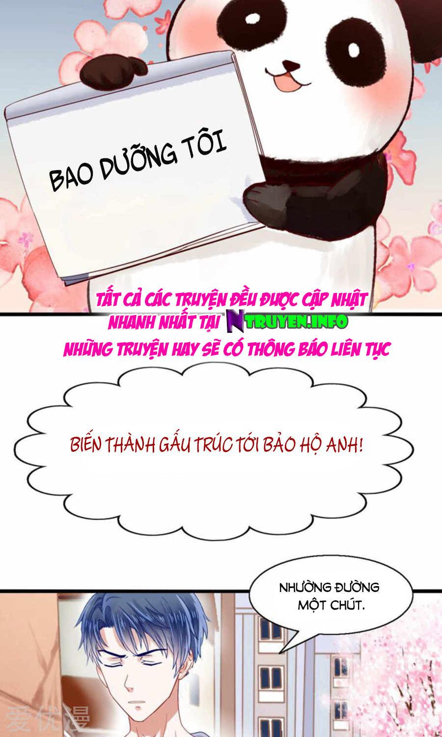 Tôi Bị Gấu Trúc Nhìn Trúng Rồi Chapter 1 - Trang 2