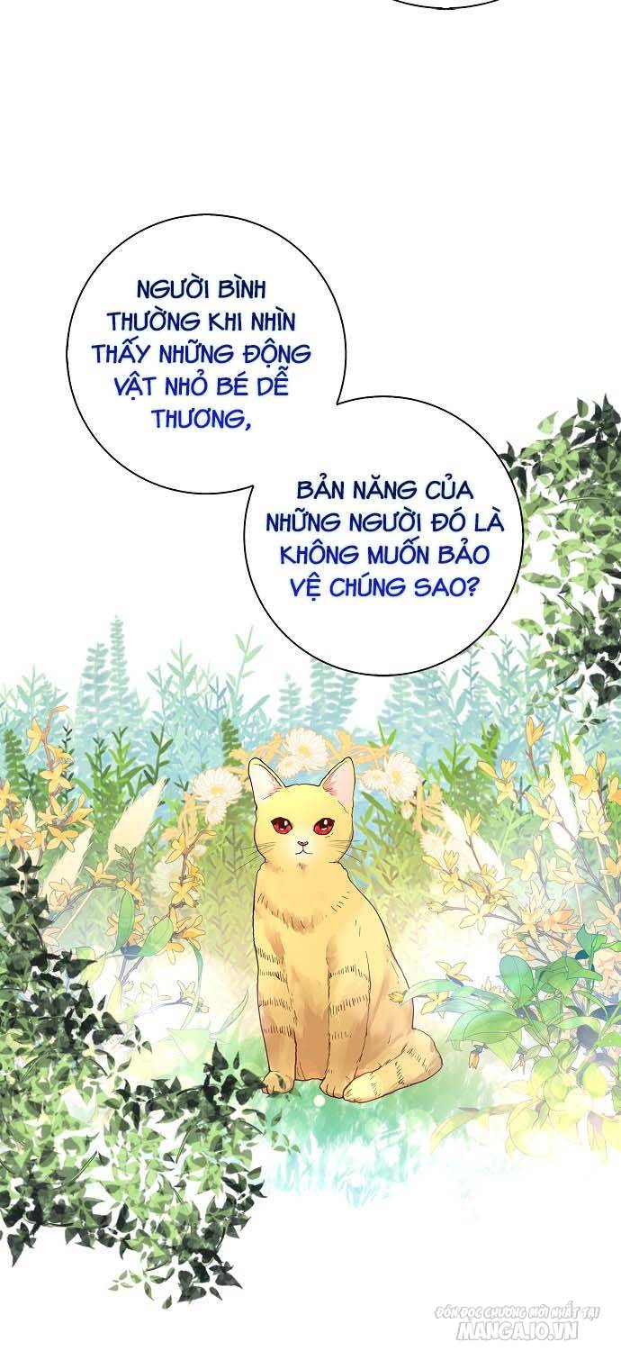 Vị Bạo Chúa Của Chúng Ta Đã Hóa Trẻ Chapter 6 - Trang 2