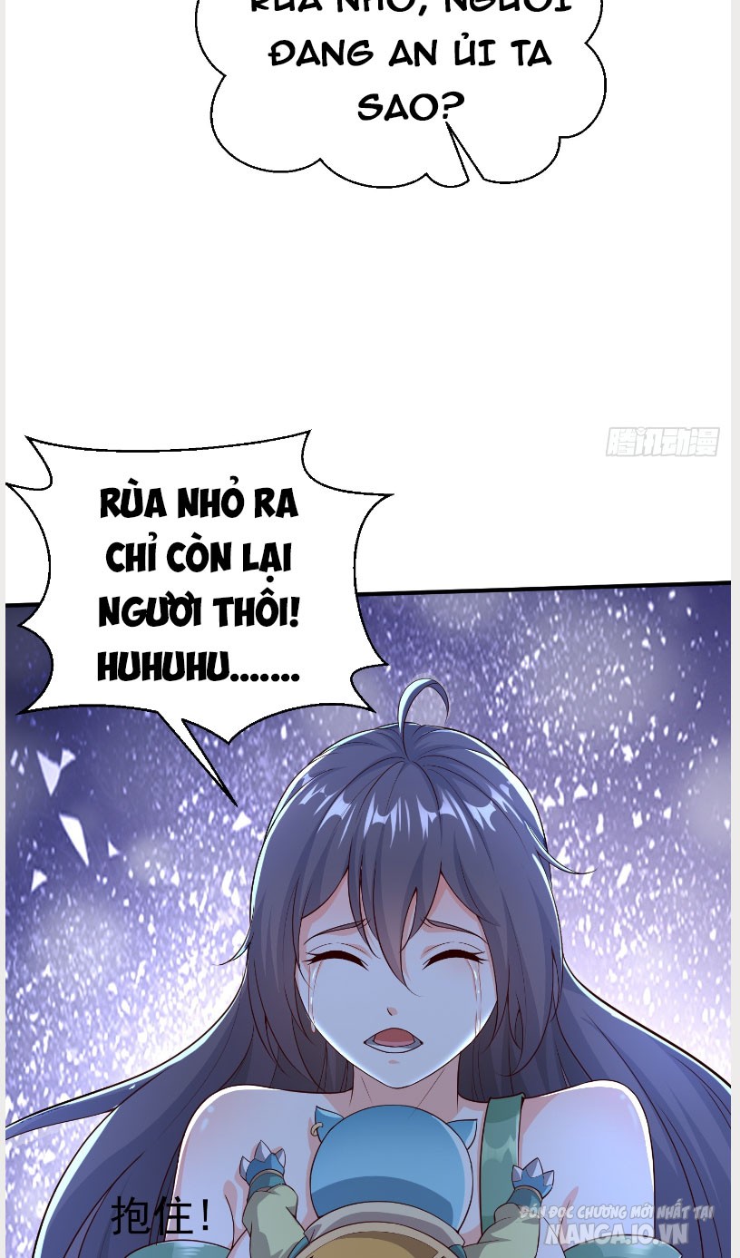 Trời Ơi! Ta Biến Thành Rùa Rồi Chapter 3 - Trang 2