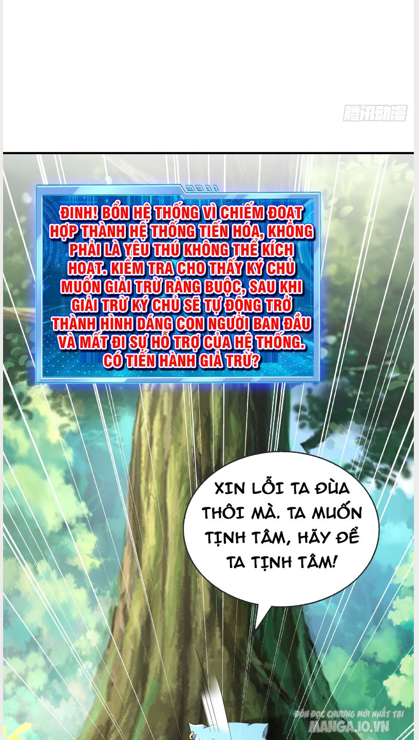 Trời Ơi! Ta Biến Thành Rùa Rồi Chapter 1 - Trang 2