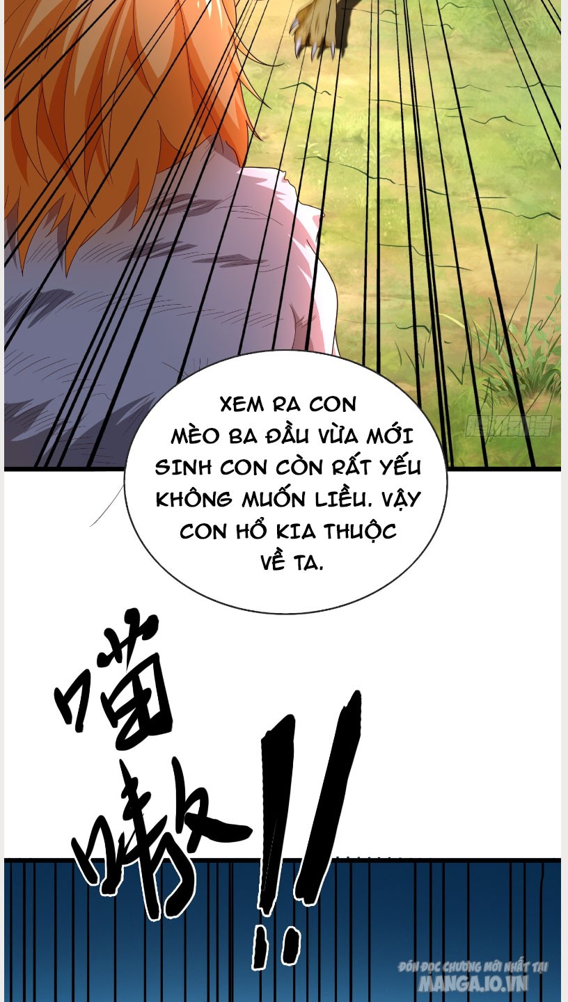 Trời Ơi! Ta Biến Thành Rùa Rồi Chapter 1 - Trang 2