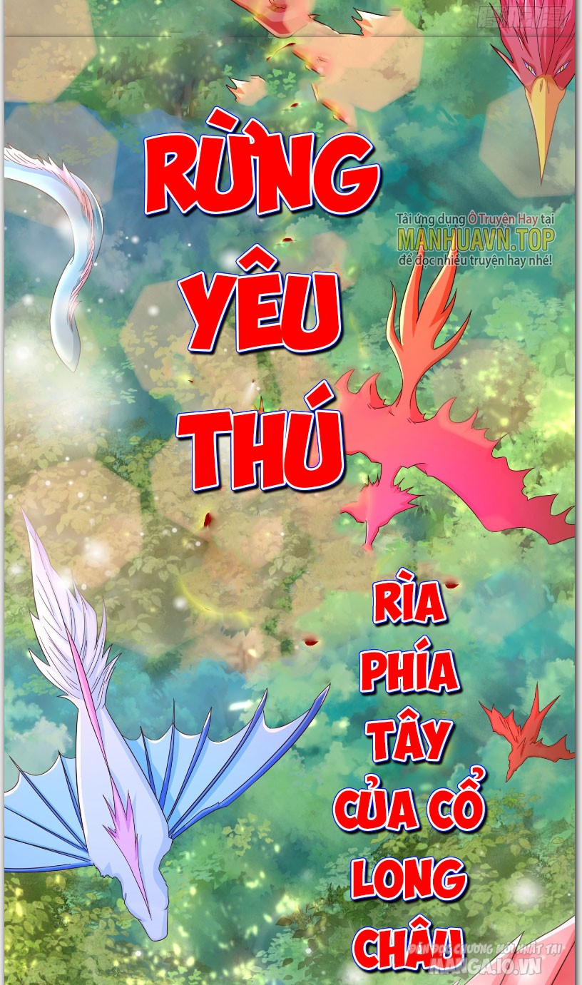 Trời Ơi! Ta Biến Thành Rùa Rồi Chapter 1 - Trang 2