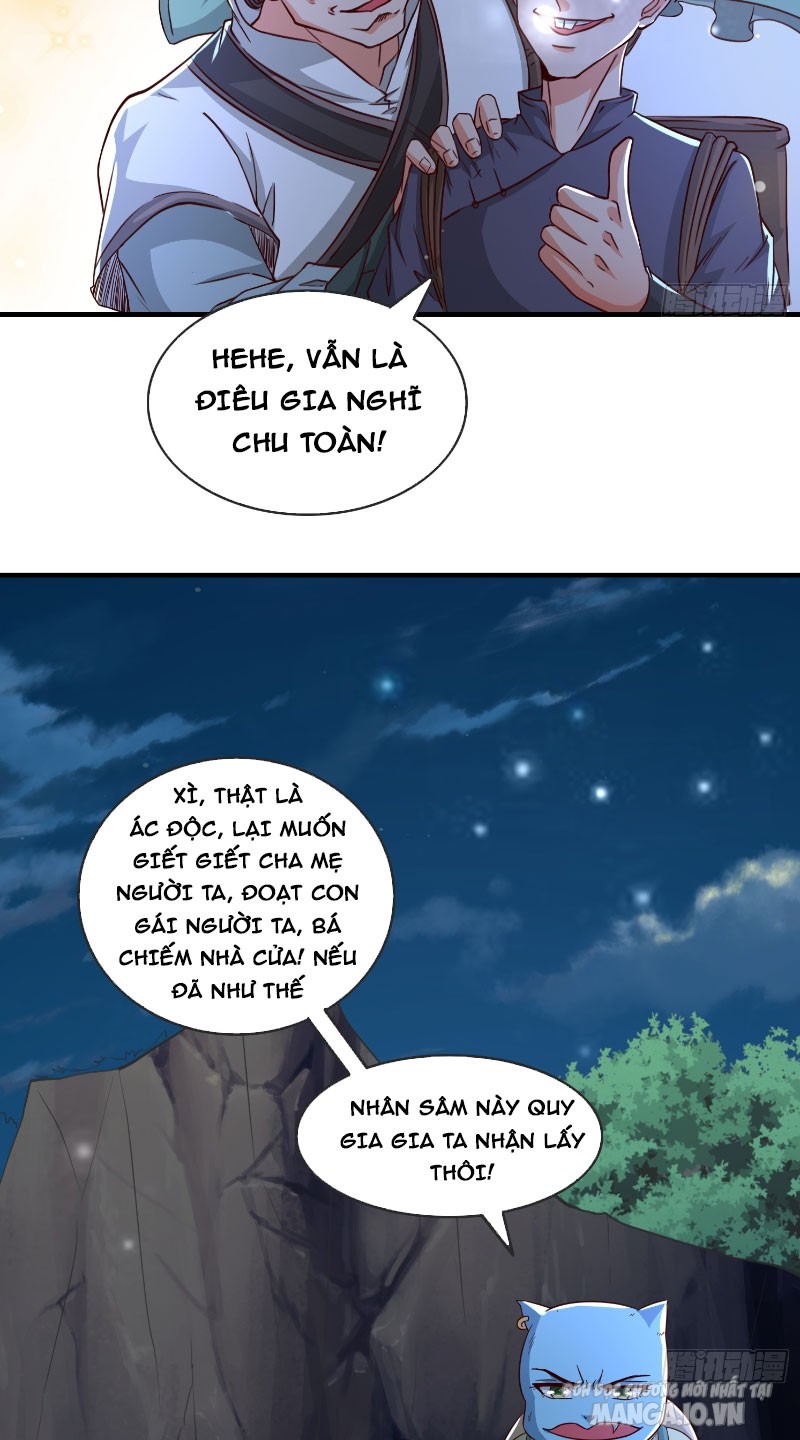 Trời Ơi! Ta Biến Thành Rùa Rồi Chapter 1 - Trang 2