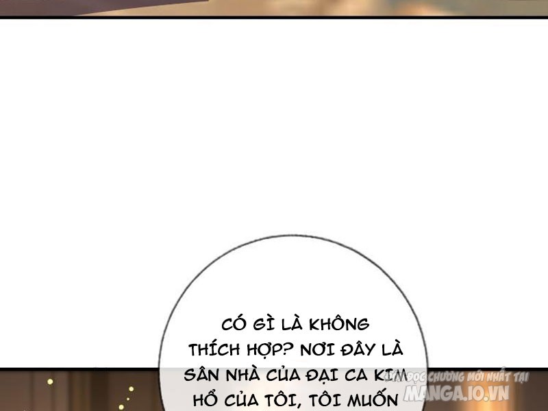 Bạch Phú Mỹ Lão Bà Của Ta Chapter 4 - Trang 2