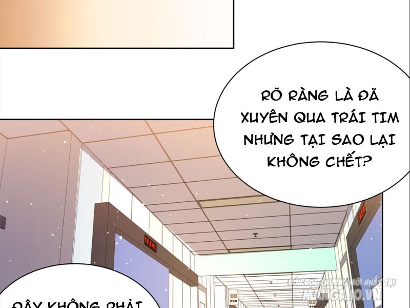 Ta! Tài Phiệt Nhà Đại Thiếu Gia Chapter 2 - Trang 2