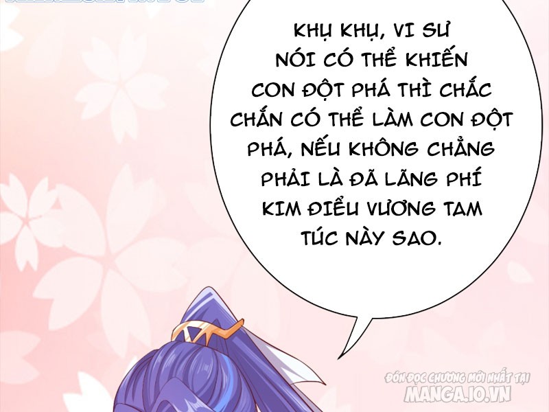 Đồ Đệ Của Ta Lại Là Nữ Đế Chapter 5 - Trang 2