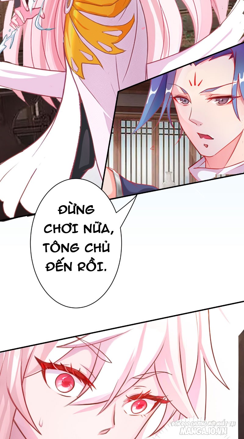 Đồ Đệ Của Ta Lại Là Nữ Đế Chapter 3 - Trang 2