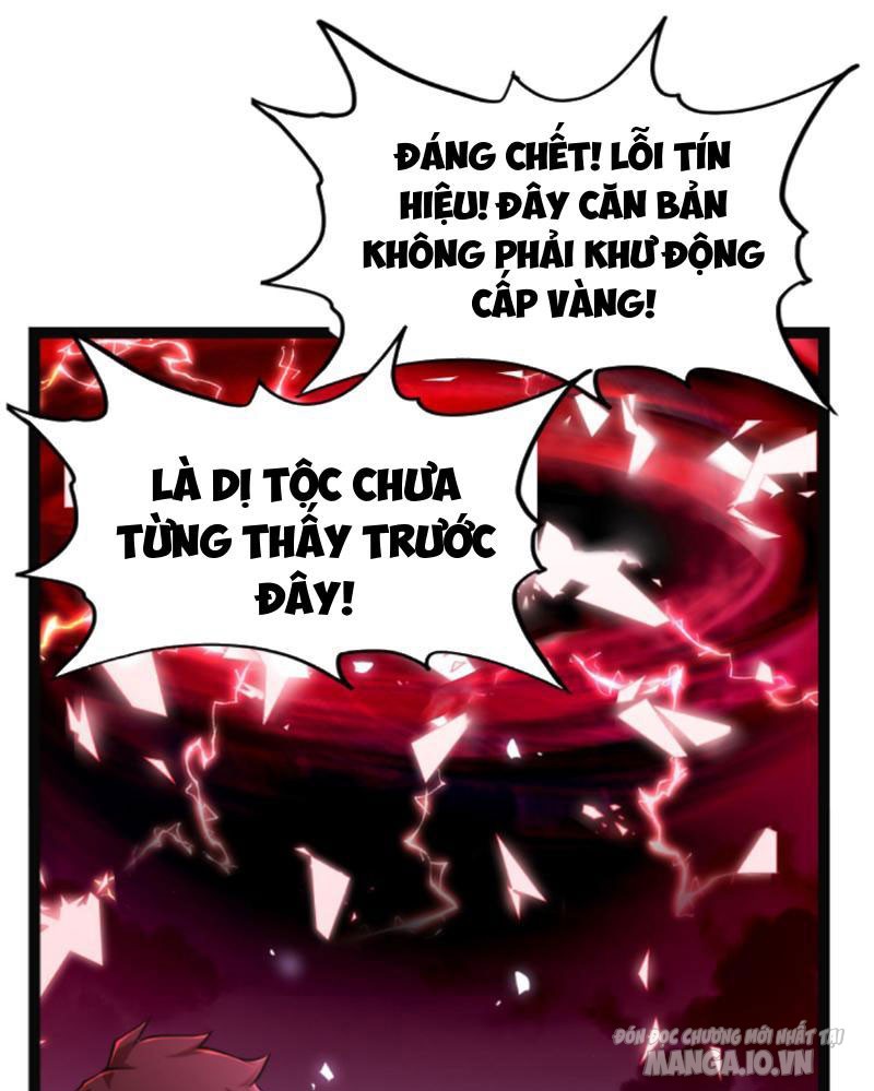 Học Cùng Em Gái, Không Cẩn Thận Trở Thành Vô Địch Chapter 2 - Trang 2