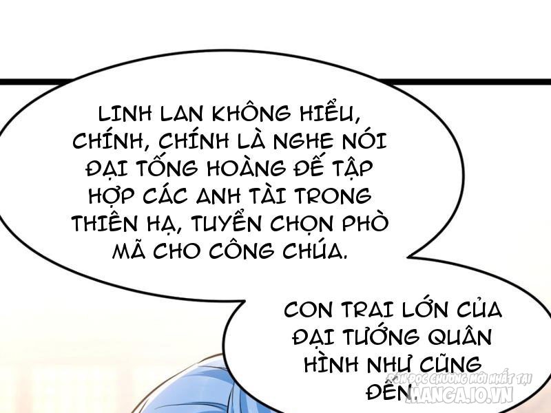 Tối Cường Phò Mã Loạn Tam Giới Chapter 5 - Trang 2