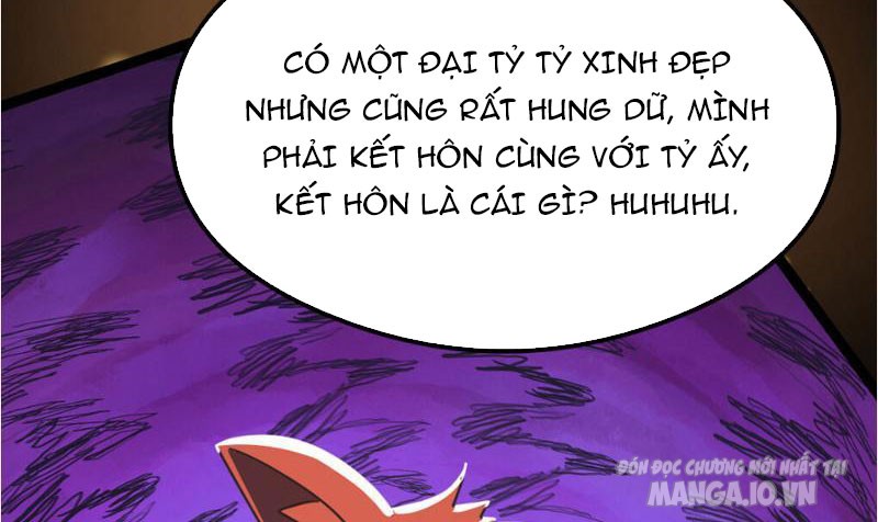 Tối Cường Phò Mã Loạn Tam Giới Chapter 3 - Trang 2