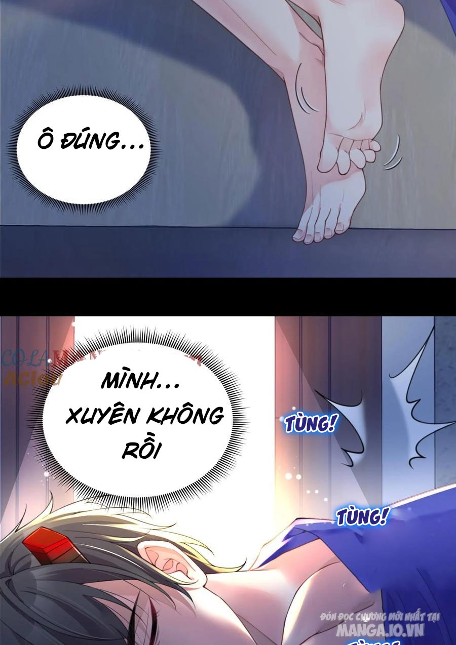 Bỉ Nhân Độc Tìm Đường Chết Chapter 1 - Trang 2