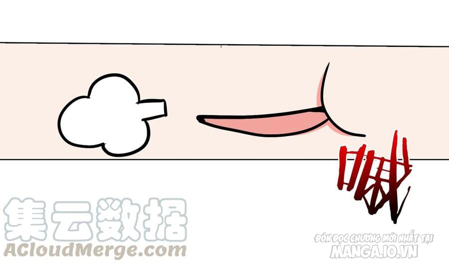 Hãy Thả Con Bạch Phượng Đó Ra Chapter 4 - Trang 2