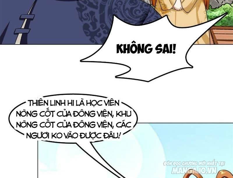 Thôn Phệ Vô Hạn Chapter 47 - Trang 2