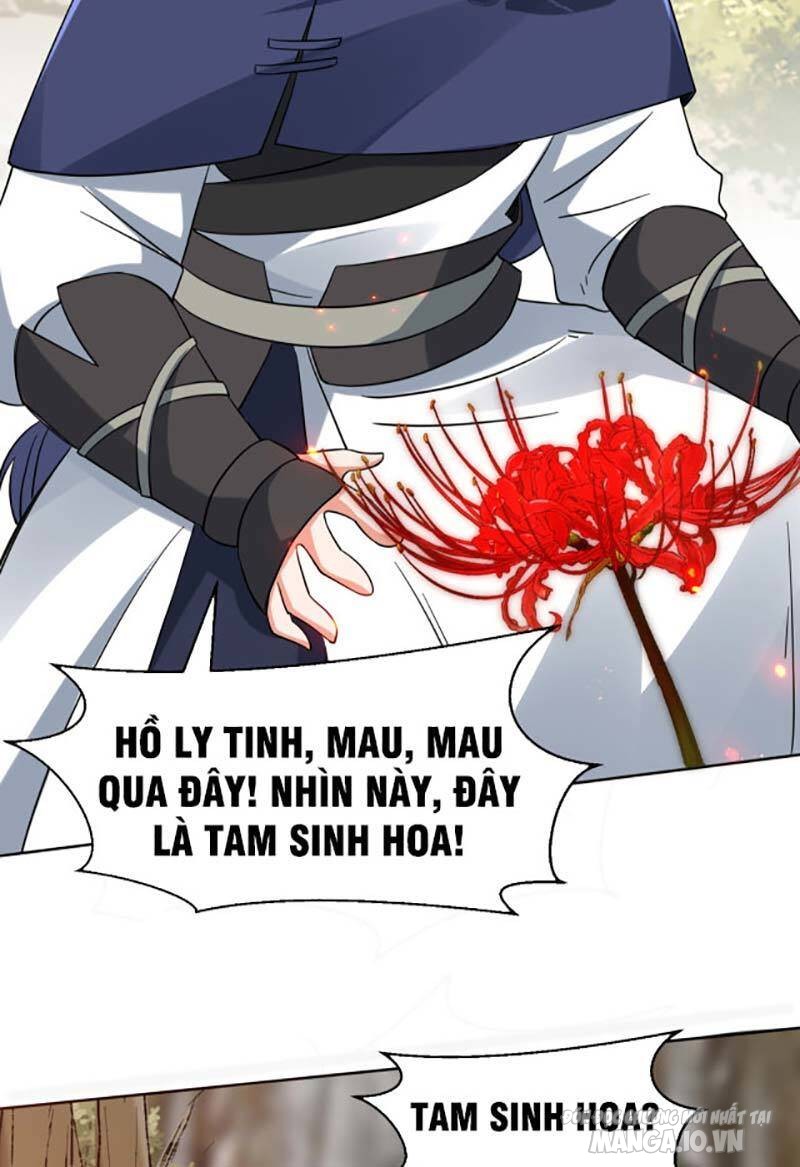 Thôn Phệ Vô Hạn Chapter 29 - Trang 2