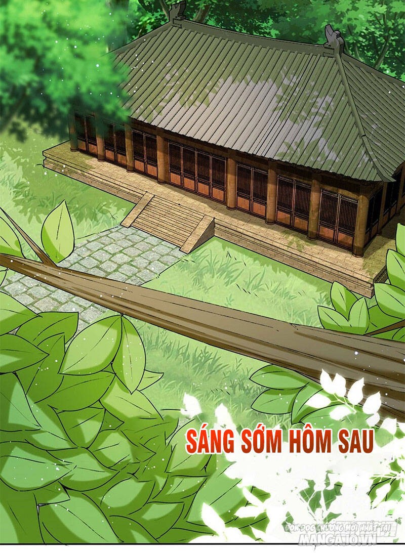 Thôn Phệ Vô Hạn Chapter 8 - Trang 2